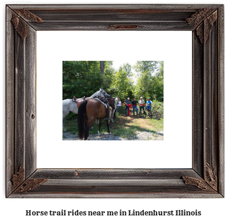 horse trail rides near me in Lindenhurst, Illinois